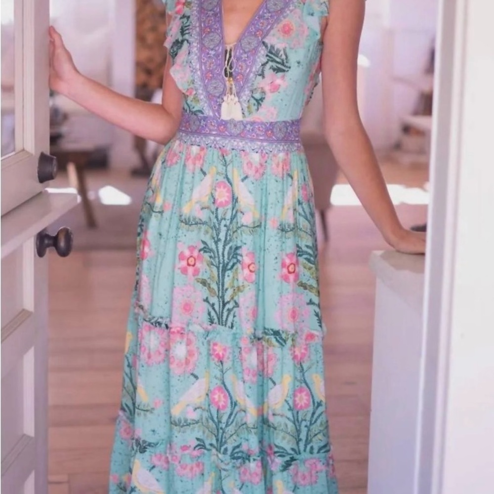 Belle Chloe Maxi dress green pink bird print